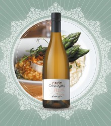 CODE CÉPAGES - PINOT GRIS 2023